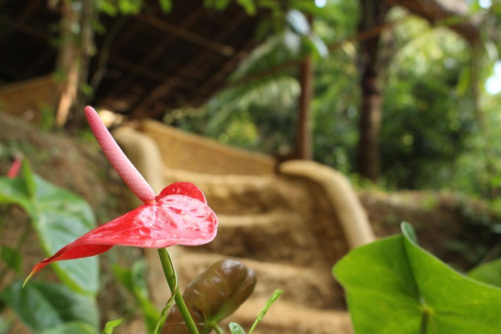 Abberny Villa Midigama Bilik gambar