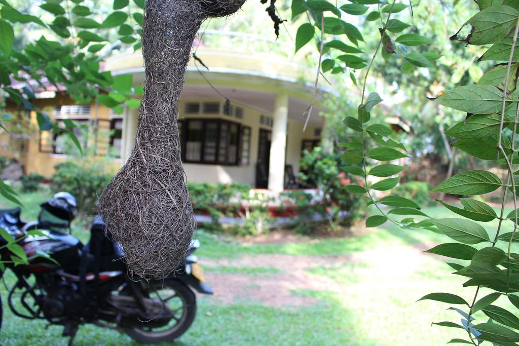 Abberny Villa Midigama Bilik gambar