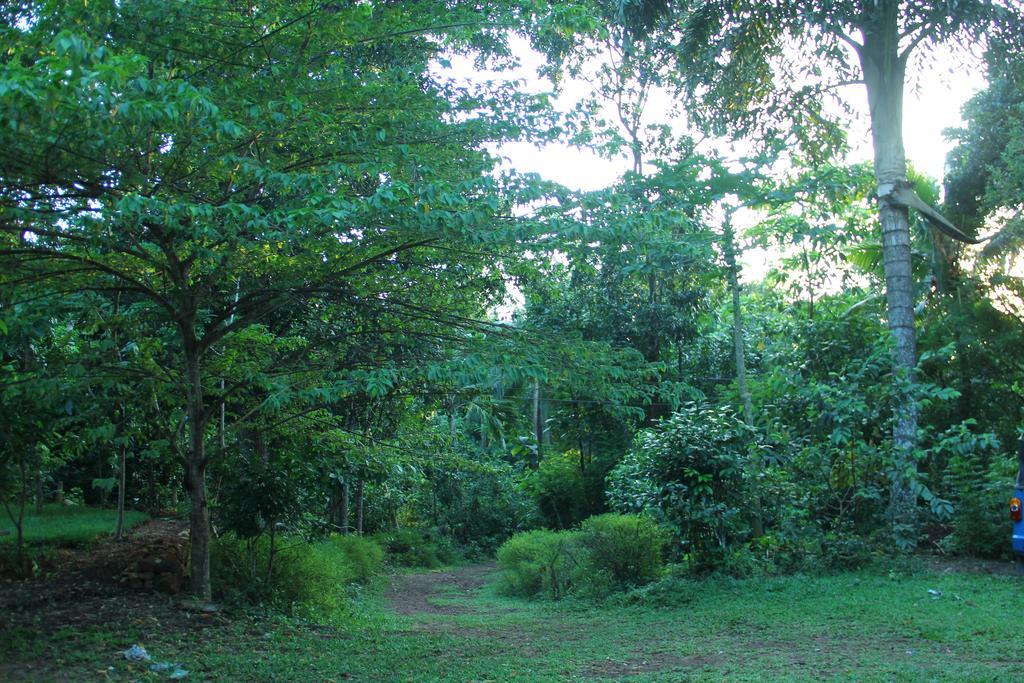 Abberny Villa Midigama Bilik gambar